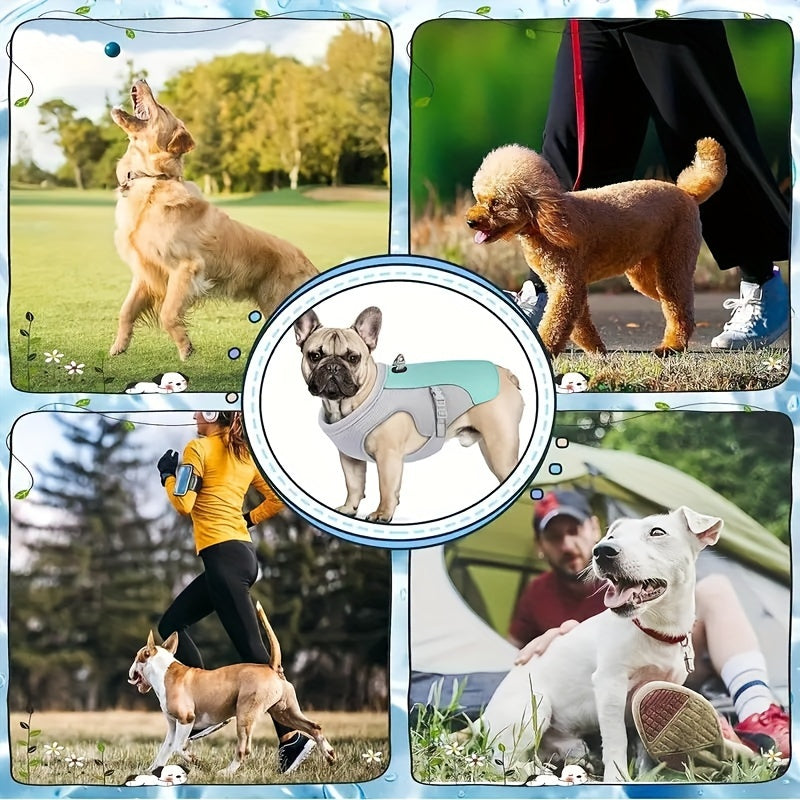 Gilet Rafraîchissant Respirant pour Chien – Veste Anti-Chaleur Été, Réglable & Ultra-Léger