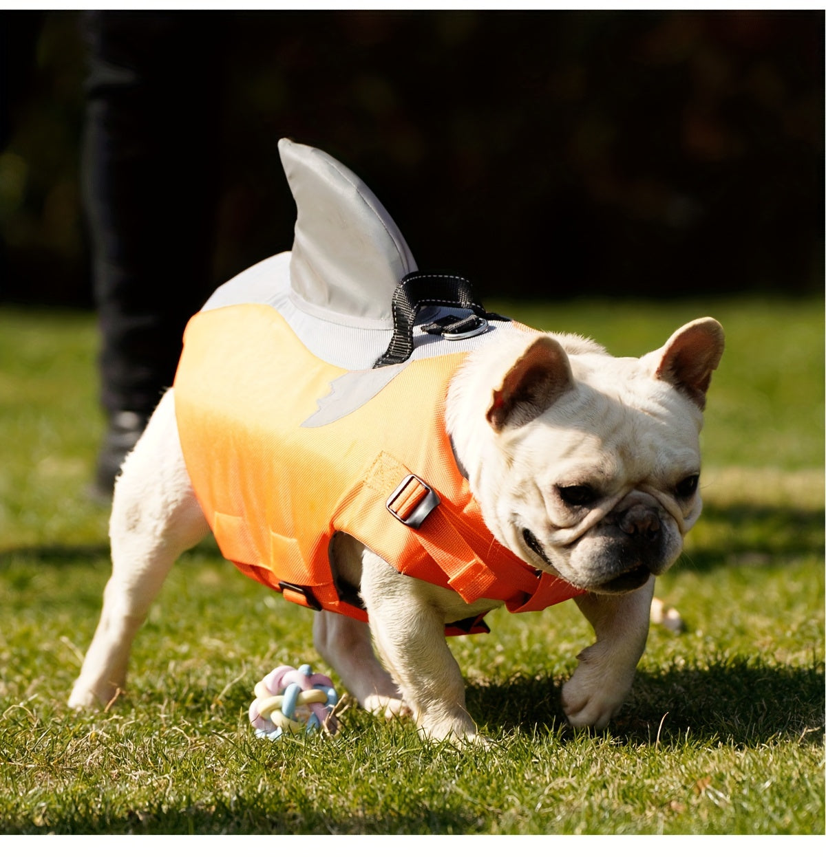 Gilet de Sauvetage Requin Réfléchissant pour Chien – Harnais de Flottaison Sécurisé avec Poignée & Sangles Réglables