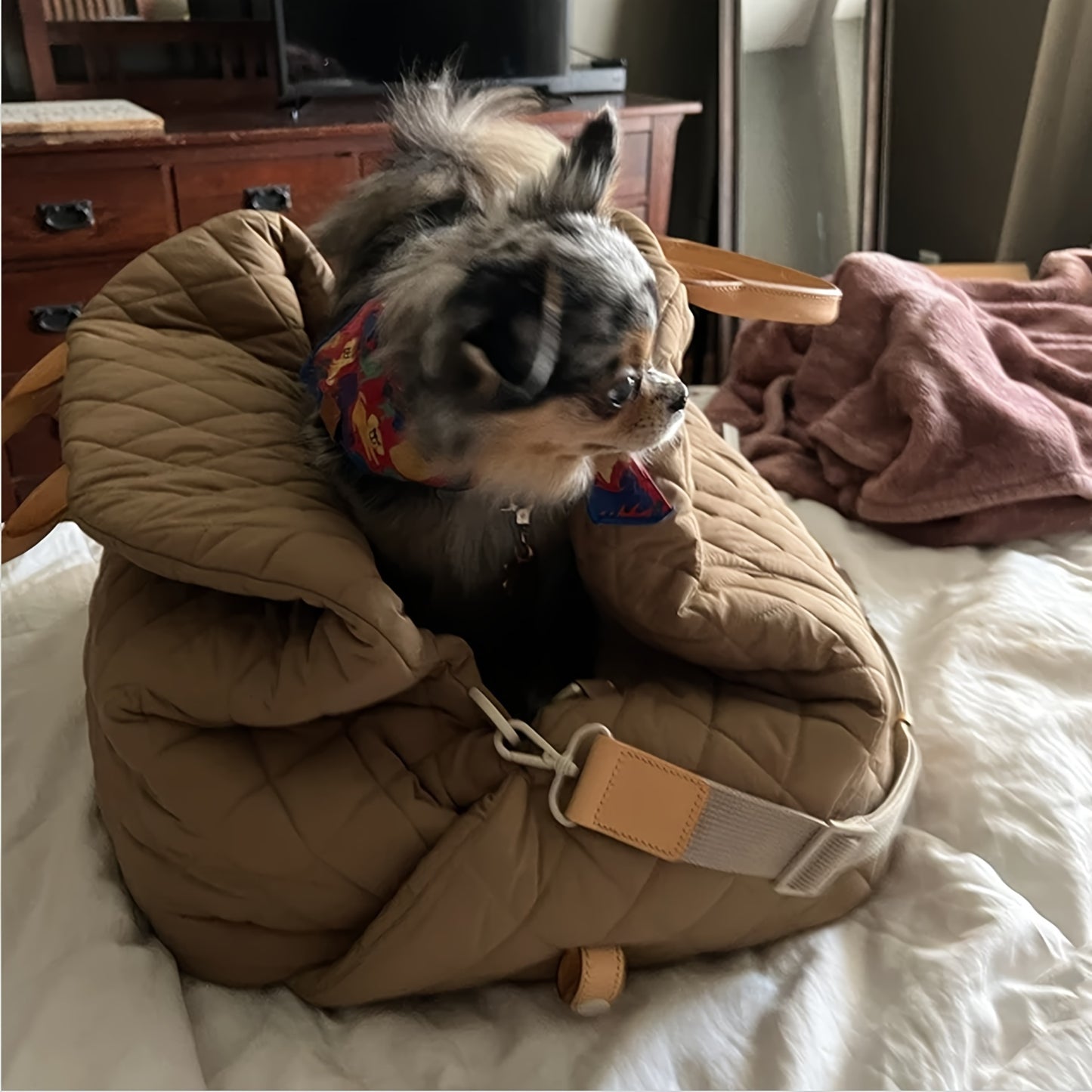 Siège Auto Matelassé pour Animaux – Coloris Gris Clair – Transporteur Sécurisé en Polyester Résistant avec Laisse Intégrée, Sangles de Sécurité et Appui-Tête Ajustable – Pour Chiens et Chats