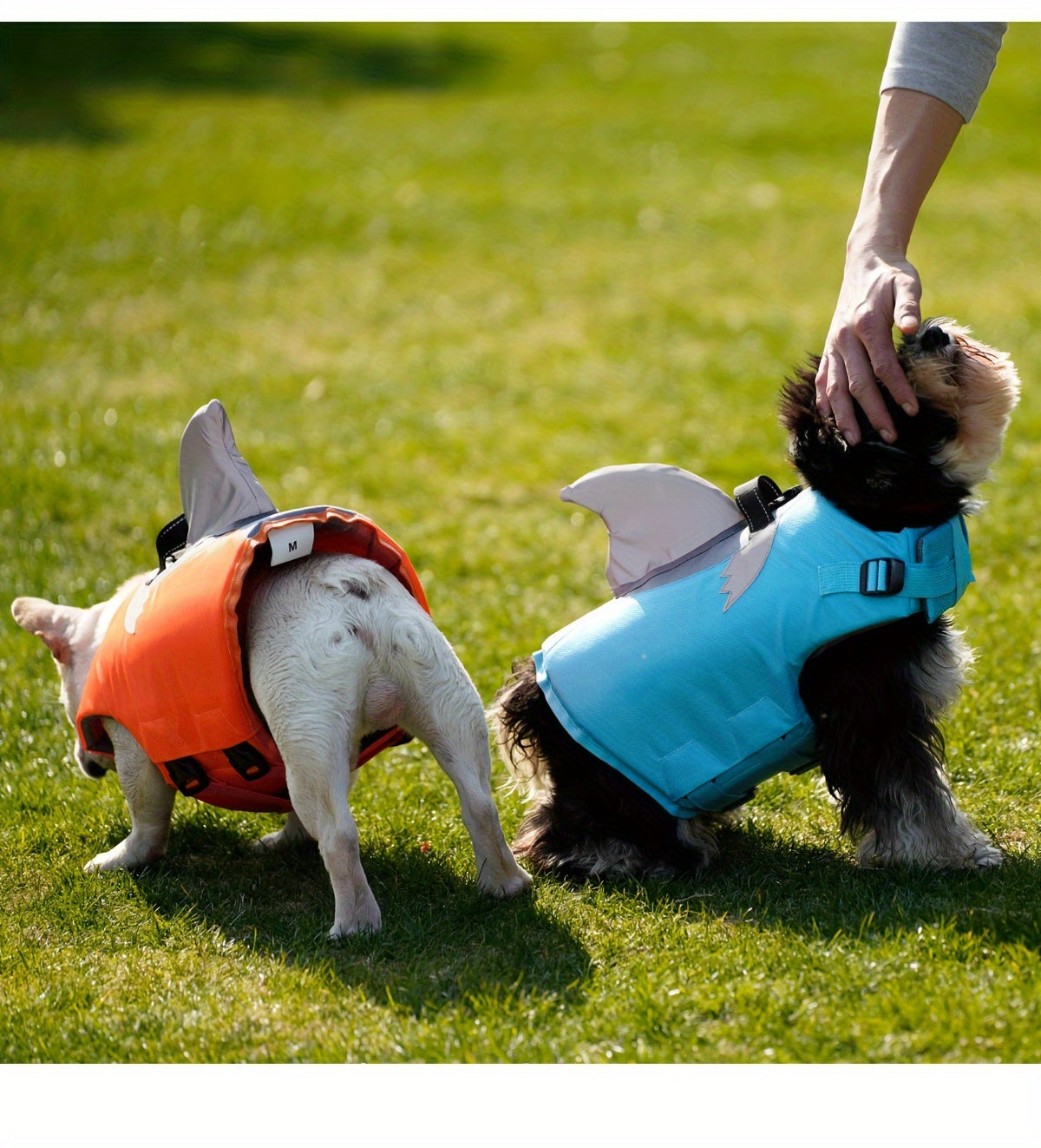 Gilet de Sauvetage Requin Réfléchissant pour Chien – Harnais de Flottaison Sécurisé avec Poignée & Sangles Réglables