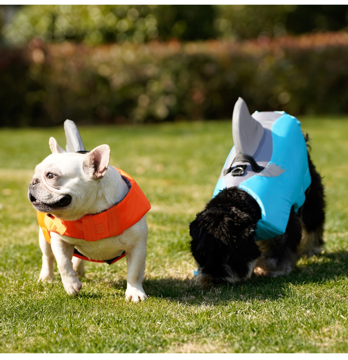 Gilet de Sauvetage Requin Réfléchissant pour Chien – Harnais de Flottaison Sécurisé avec Poignée & Sangles Réglables