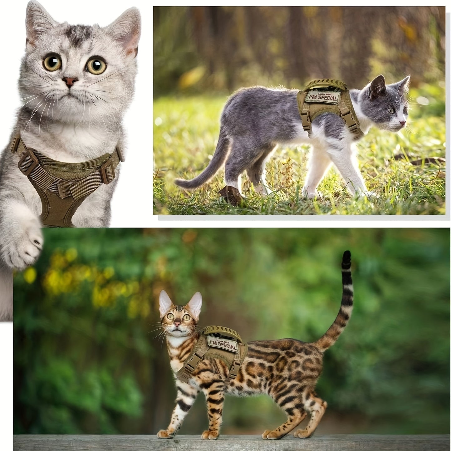 Harnais Tactique Antifugue pour Chat – 1 Pièce – Gilet de Marche Sécurisé et Confortable – Harnais Réglable en Maille Douce avec Poignée de Contrôle – Antitraction