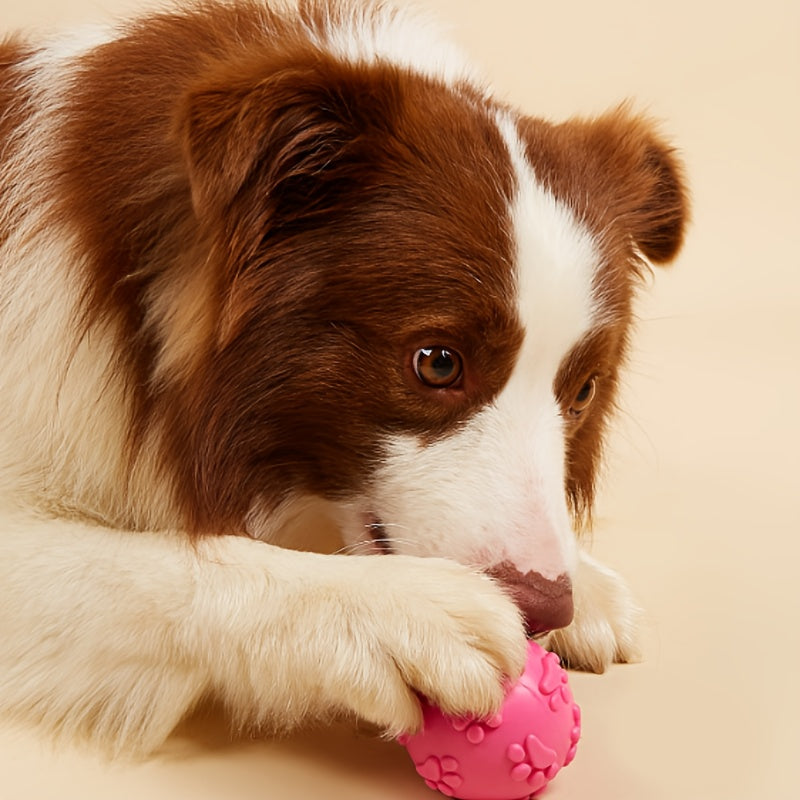 Balle Squeaky en Caoutchouc pour Chien – Design Patte de Cartoon, Résistante & Ludique, Spéciale Petite et Moyenne Taille
