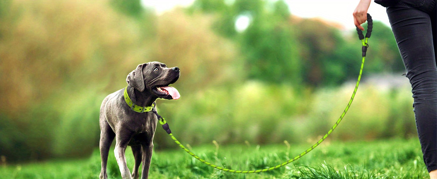 Laisse Réfléchissante JOYTALE pour Chien – Poignée Rembourrée Ultra-Confortable