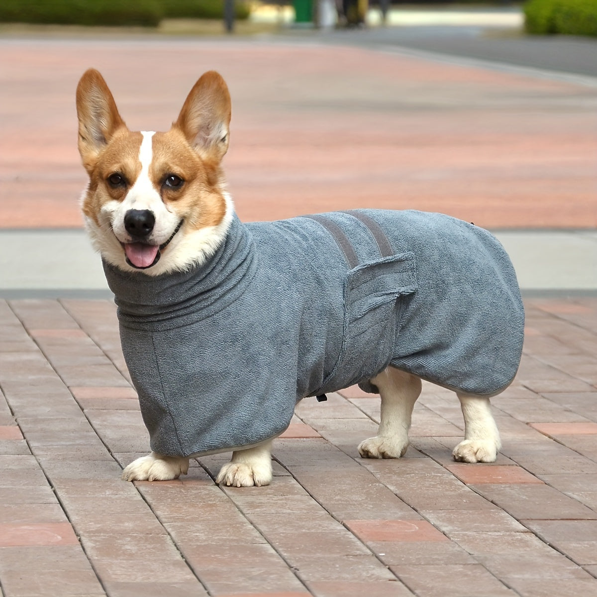 Peignoir de Séchage en Microfibre pour Chien – Ultra-Absorbant & Séchage Rapide