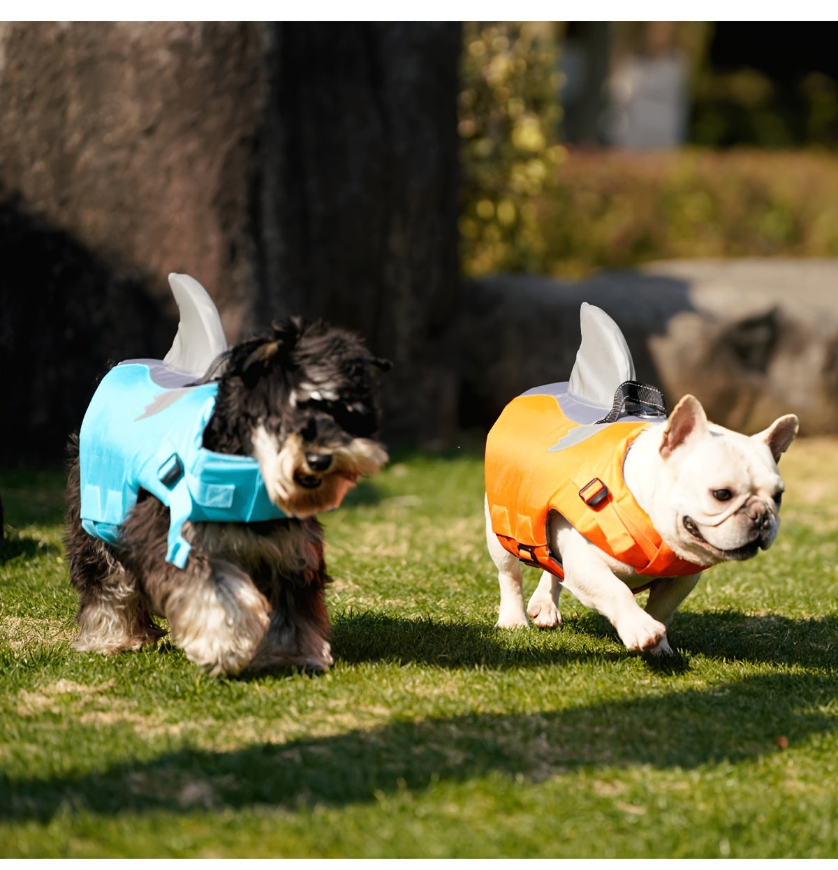 Gilet de Sauvetage Requin Réfléchissant pour Chien – Harnais de Flottaison Sécurisé avec Poignée & Sangles Réglables