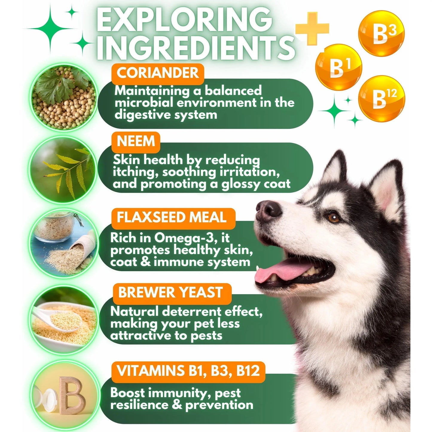 Complément Anti-Puces et Tiques Naturel pour Chien – Friandises à Mâcher Préventives – Protection Orale Naturelle contre Puces & Tiques