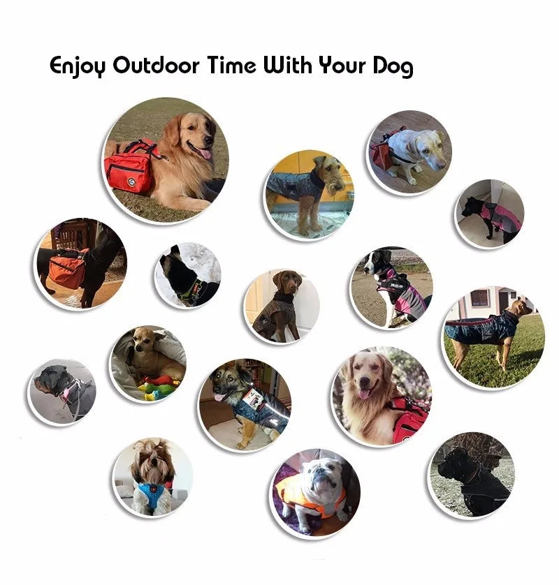 Harnais Sac à Dos Amovible pour Chien – Gilet Réfléchissant pour l’Aventure en Plein Air, Randonnée, Camping et Voyage – Pour Chiens Moyens à Grands