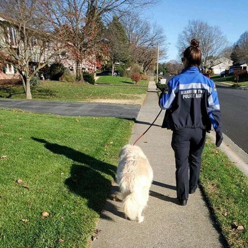 Laisse pour Chien Solide pour l’Extérieur et le Dressage – Chaîne de Traction Robuste avec Poignée Douce pour un Contrôle et une Sécurité Accrus