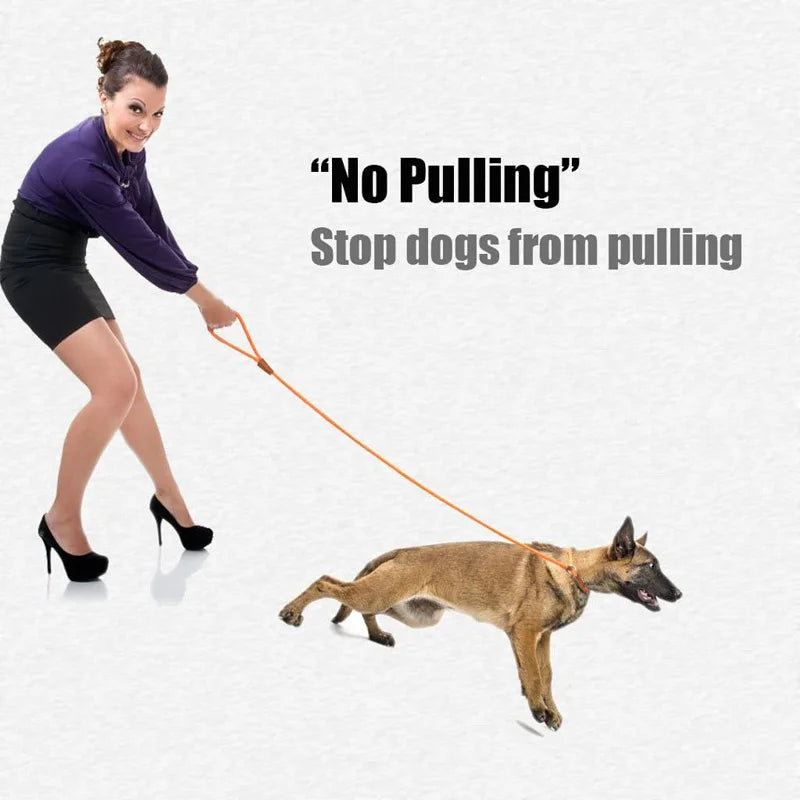 Laisse pour Chien Solide pour l’Extérieur et le Dressage – Chaîne de Traction Robuste avec Poignée Douce pour un Contrôle et une Sécurité Accrus