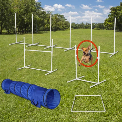 Kit d’Agilité pour Chien FCJ – Ensemble de 6 Équipements d’Entraînement Personnalisable, Étanche, en Métal, Plastique, Aluminium, PVC et Acier
