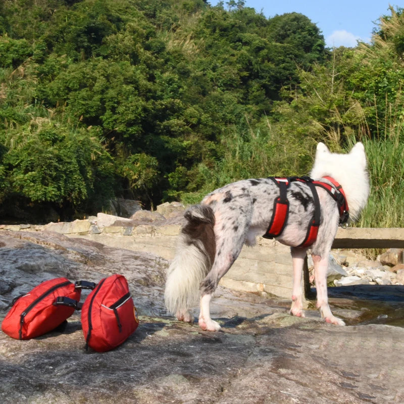Harnais Sac à Dos Amovible pour Chien – Gilet Réfléchissant pour l’Aventure en Plein Air, Randonnée, Camping et Voyage – Pour Chiens Moyens à Grands