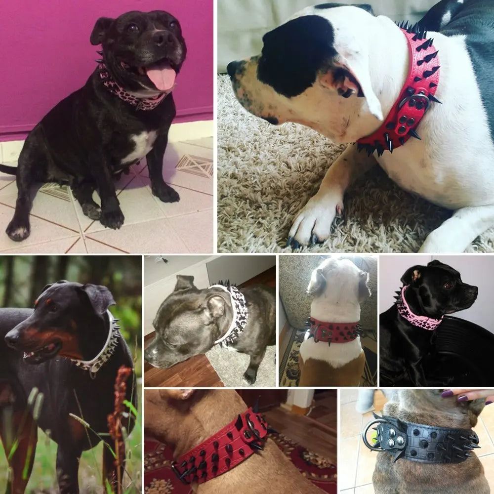 Collier pour Chien Large 5 cm – Cuir Clouté avec Pics Métalliques – Collier Ajustable pour Pitbull, Bulldog, Boxer et Grands Chiens – Tailles S à XL