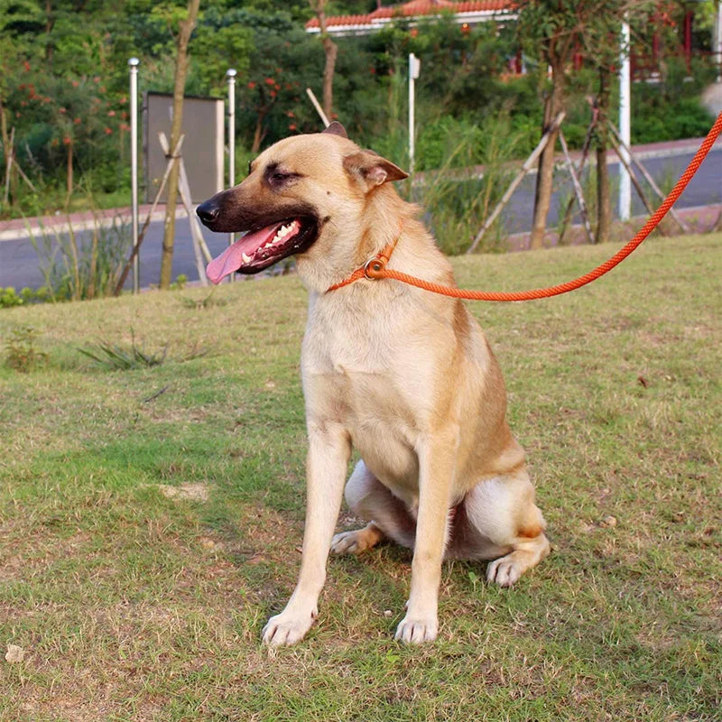 Laisse pour Chien Solide pour l’Extérieur et le Dressage – Chaîne de Traction Robuste avec Poignée Douce pour un Contrôle et une Sécurité Accrus