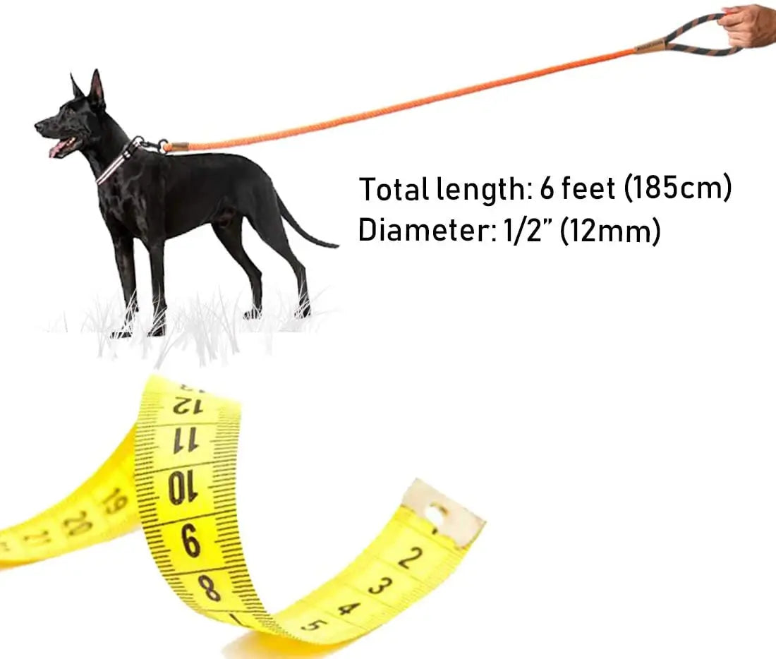 Laisse pour Chien Solide pour l’Extérieur et le Dressage – Chaîne de Traction Robuste avec Poignée Douce pour un Contrôle et une Sécurité Accrus