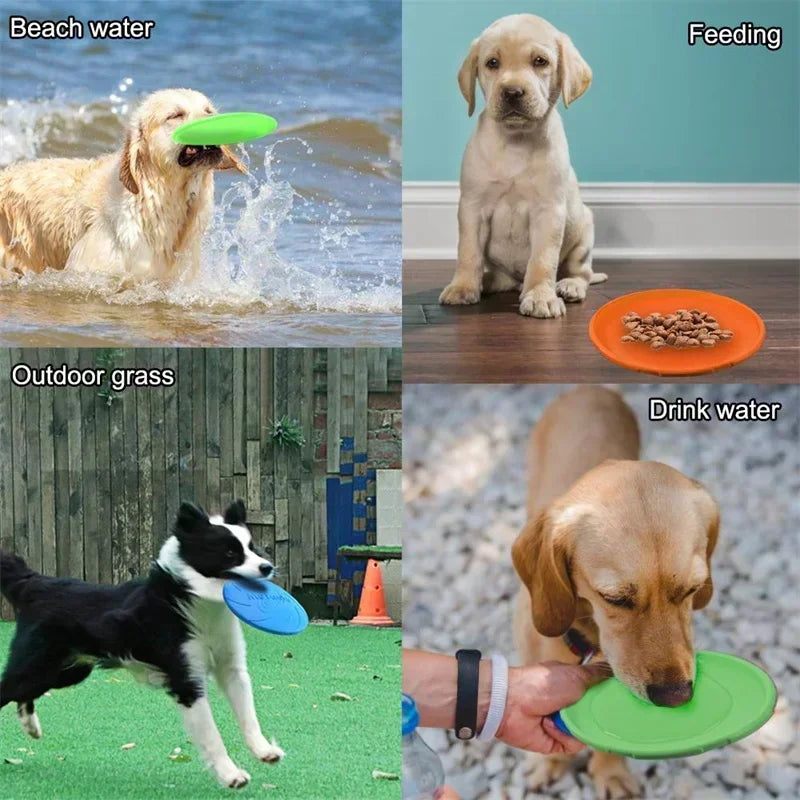 Frisbee pour Chien Multicolore – Disque Volant en Silicone Souple pour Jeux et Dressage – Jouet Interactif d’Extérieur pour Chiens de Toutes Tailles