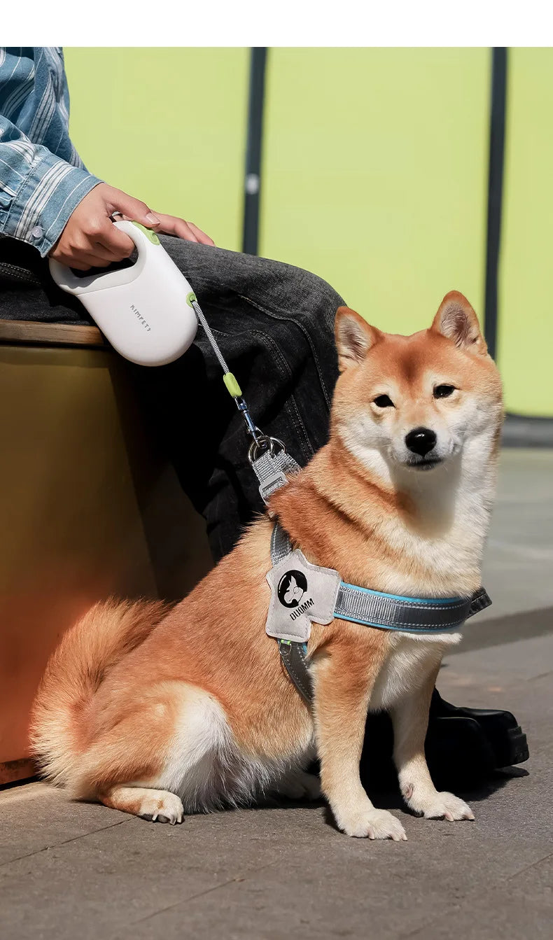 Laisse pour Animaux avec Extension Réglable et Sécurisée – Corde de Marche Réfléchissante pour Chien, Longueur 5M