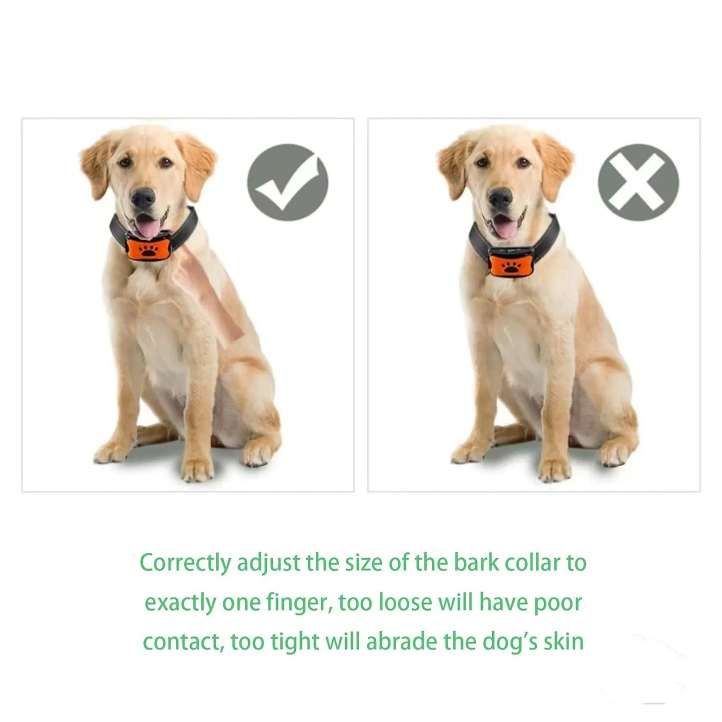Collier Anti-Aboiement pour Chien – Ultrasons & Vibration, Recharge USB, Dressage Électrique Doux