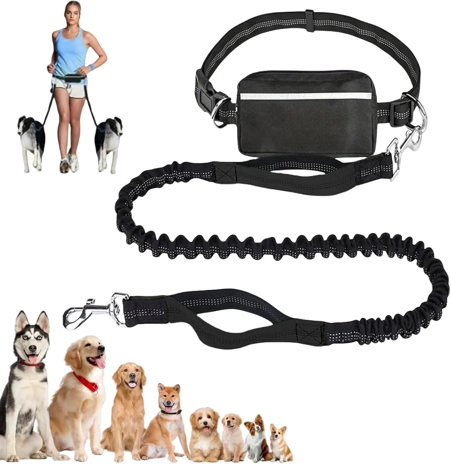 Laisse pour Chien Mains Libres 1,65 m avec Pochette à Fermeture Éclair – Laisse de Taille avec Double Poignée Rembourrée pour la Marche