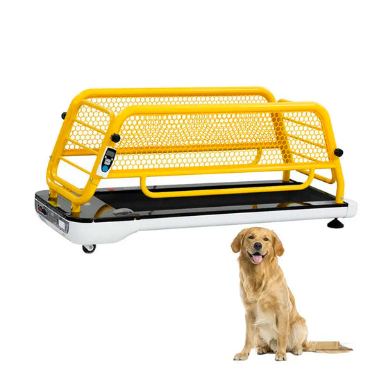Tapis de Course pour Chien – Machine de Marche pour Animaux de Compagnie, Entraînement Intérieur pour Chiens de Petite à Grande Taille