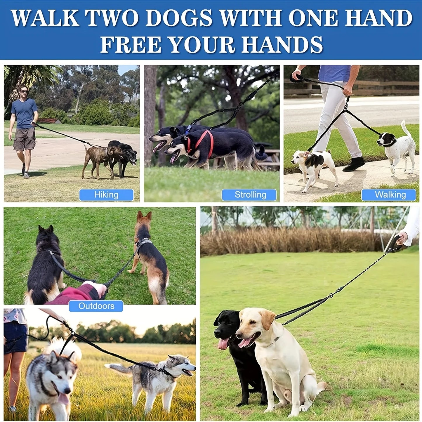 Laisse Double pour Chien – Coupleur Anti-Enchevêtrement avec Amortisseur de Chocs et Sangle Réfléchissante pour Sécurité Nocturne