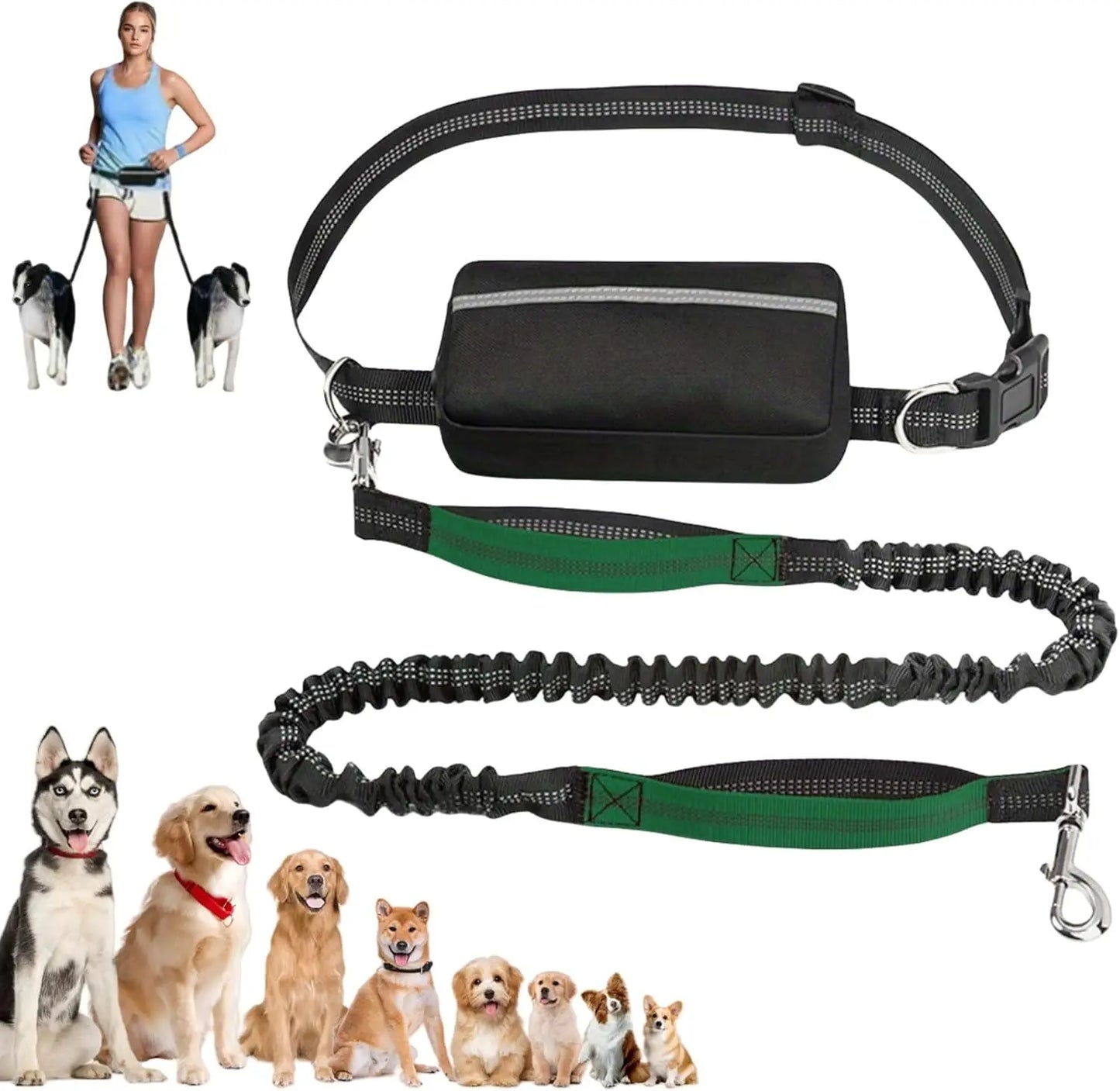 Laisse pour Chien Mains Libres 1,65 m avec Pochette à Fermeture Éclair – Laisse de Taille avec Double Poignée Rembourrée pour la Marche