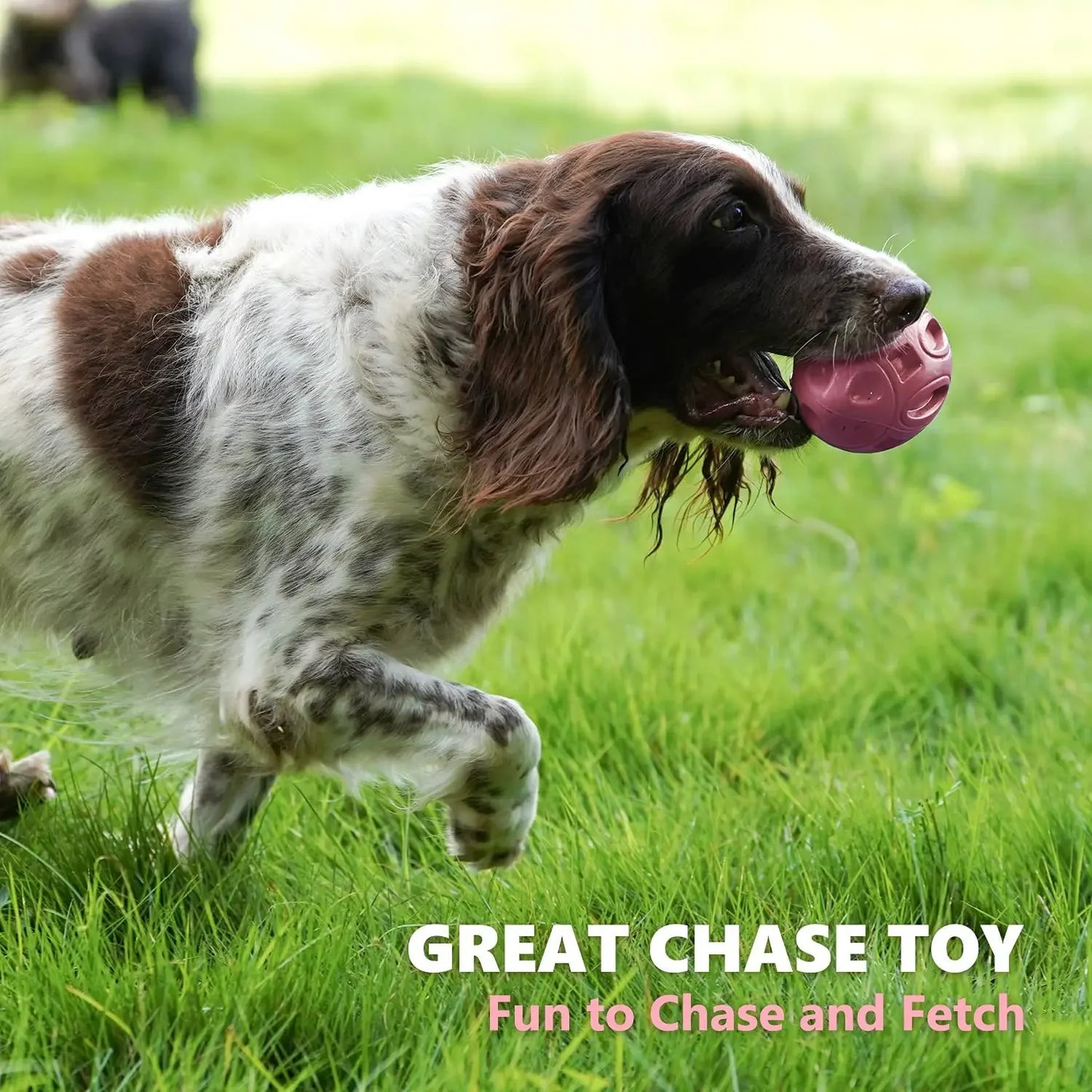 Jouet pour Chien Couineur en Caoutchouc – Balle à Mâcher Résistante pour Chiots et Chiens Agressifs – Nettoyage des Dents & Jeu Interactif – Pour Races Moyennes et Grandes