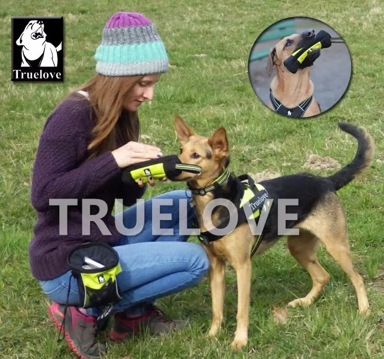 Pochette à Friandises Truelove pour Chien – Sac d’Entraînement Réfléchissant avec Distributeur de Sacs à Déjections, Poche à Jouets et Friandises