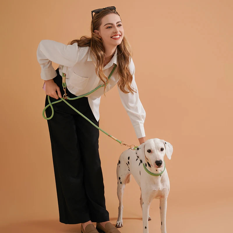 Laisse Multifonction Mains Libres pour Chien – Corde de Marche 10-en-1 pour Chiens Petits, Moyens et Grands, Idéale pour la Course et la Marche en Extérieur