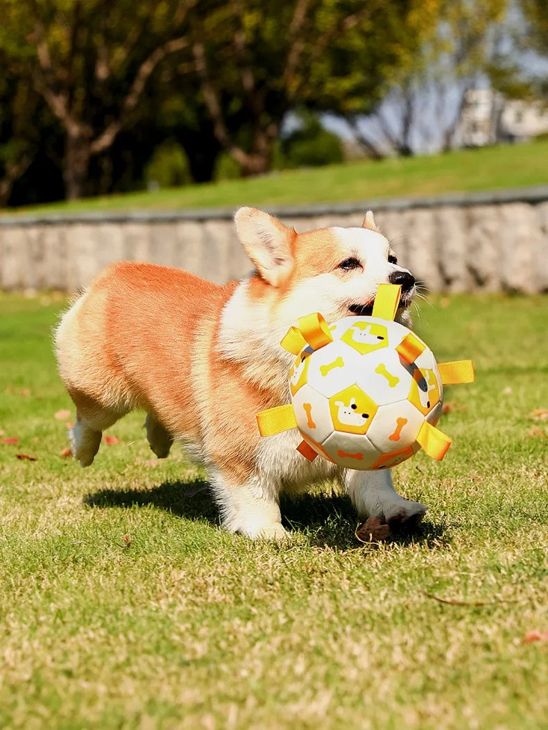 Ballon de Football Sonore pour Chien – Jouet à Mâcher Résistant pour l’Extérieur, Durable et Gonflable – Anti-Morsure avec Couineur Intégré