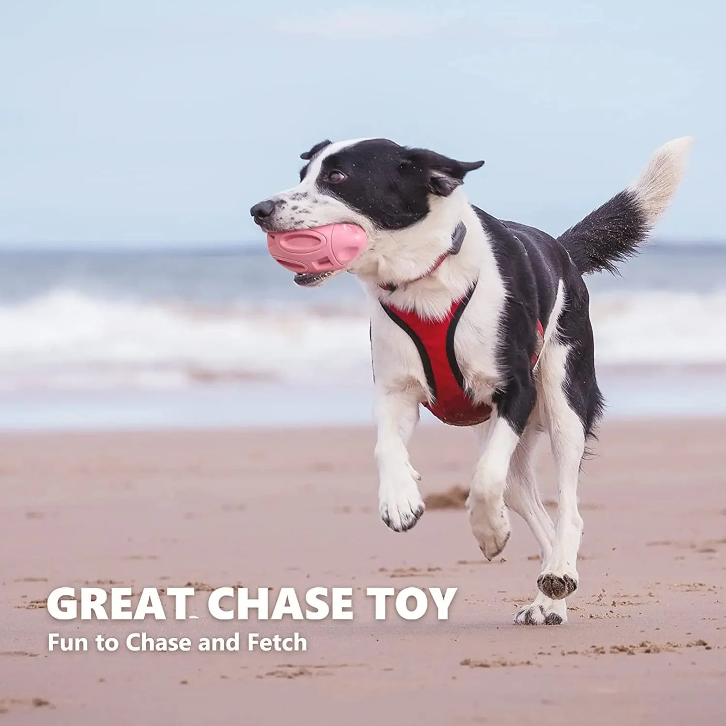 Jouet pour Chien Couineur en Caoutchouc – Balle à Mâcher Résistante pour Chiots et Chiens Agressifs – Nettoyage des Dents & Jeu Interactif – Pour Races Moyennes et Grandes