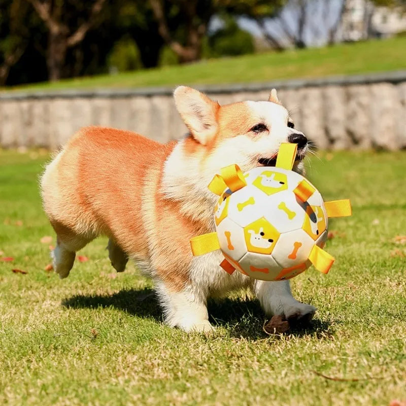 Ballon de Football Sonore pour Chien – Jouet à Mâcher Résistant pour l’Extérieur, Durable et Gonflable – Anti-Morsure avec Couineur Intégré