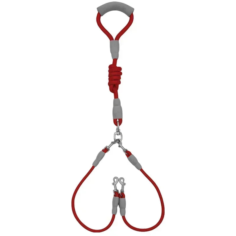 Laisse Double pour Chien – Laisse Moyenne avec Chaîne Double, Système Une Laisse pour Deux Chiens, Accessoire Pratique pour la Marche