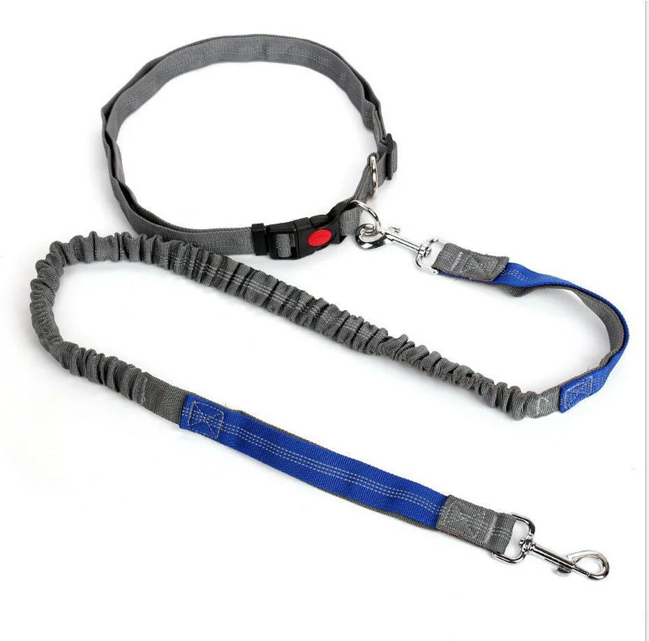 Laisse Élastique pour Chien Mains Libres – Laisse Rétractable en Nylon pour la Course et la Marche, Accessoire Pratique pour Chien