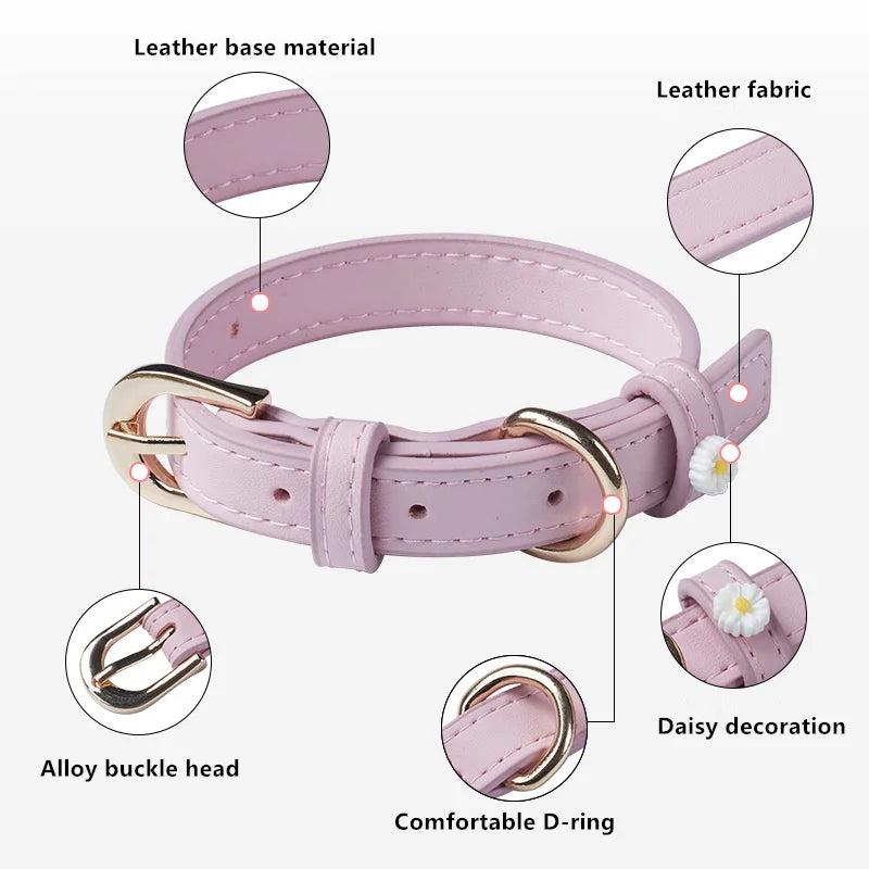 Collier pour Chat & Petit Chien en Simili Cuir – Décor Marguerite, Boucle en Alliage & Anneau Traction