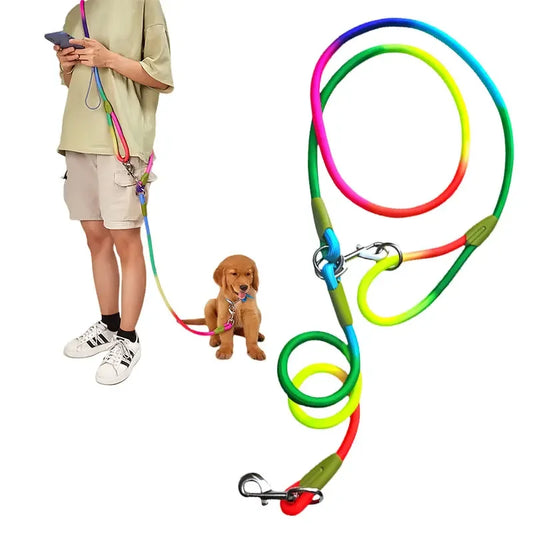 Laisse Mains Libres Réfléchissante en Nylon – Laisse de Marche, Course et Jogging Réglable pour Chiens de Petite à Grande Taille