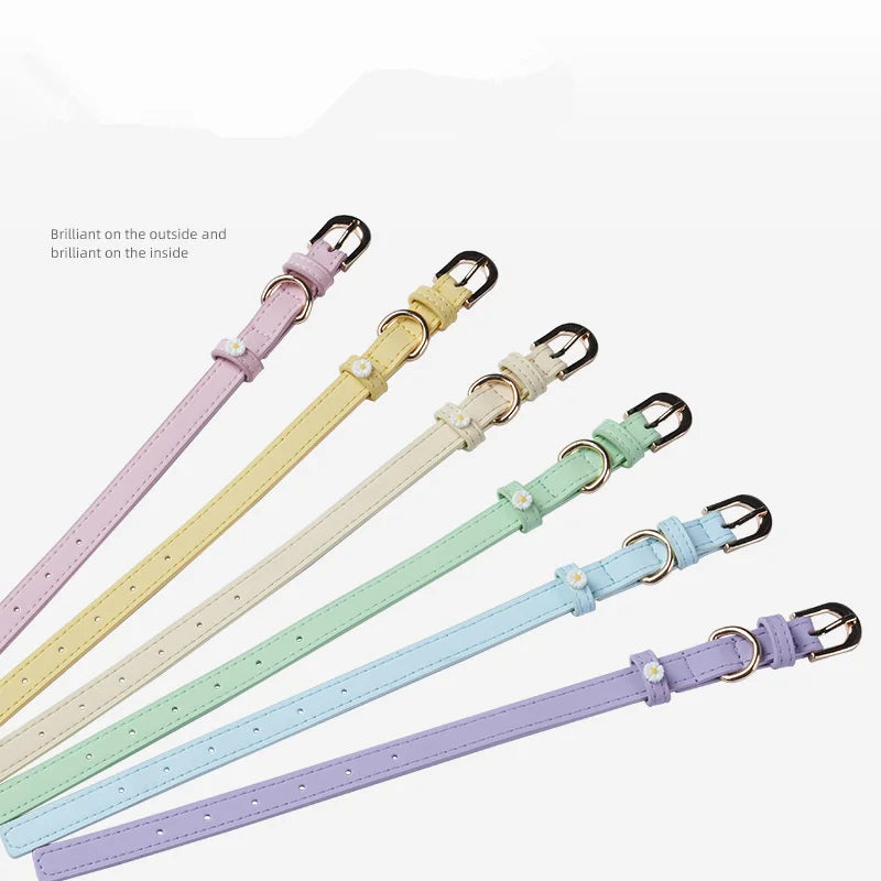 Collier pour Chat & Petit Chien en Simili Cuir – Décor Marguerite, Boucle en Alliage & Anneau Traction