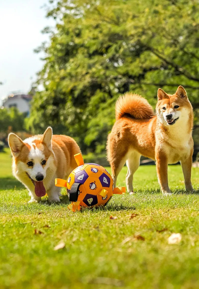 Ballon de Football Sonore pour Chien – Jouet à Mâcher Résistant pour l’Extérieur, Durable et Gonflable – Anti-Morsure avec Couineur Intégré