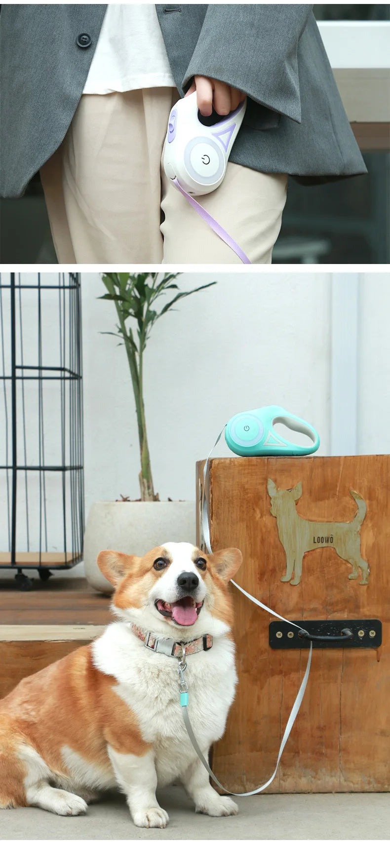Laisse Rétractable pour Chien avec Éclairage LED – Système de Verrouillage à Une Touche, Anti-Enchevêtrement, Poignée Confortable et Sécurité Nocturne Mains Libres