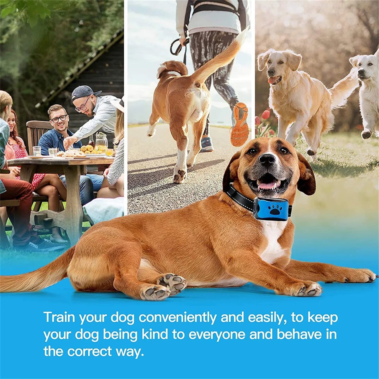 Collier Anti-Aboiement pour Chien – Ultrasons & Vibration, Recharge USB, Dressage Électrique Doux
