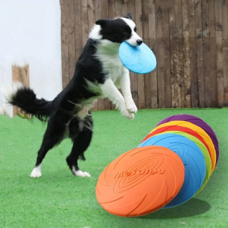 Frisbee pour Chien Multicolore – Disque Volant en Silicone Souple pour Jeux et Dressage – Jouet Interactif d’Extérieur pour Chiens de Toutes Tailles