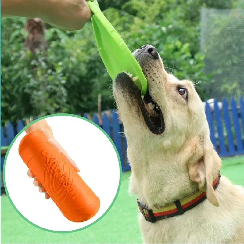 Frisbee pour Chien Multicolore – Disque Volant en Silicone Souple pour Jeux et Dressage – Jouet Interactif d’Extérieur pour Chiens de Toutes Tailles