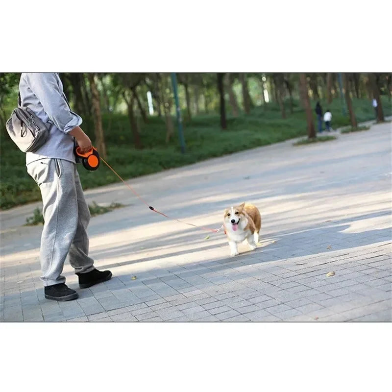 Laisse Rétractable 3/5/8M pour Chien – Laisse à Enrouleur Robuste et Réglable pour Petits et Grands Chiens, Idéale pour la Marche et la Randonnée