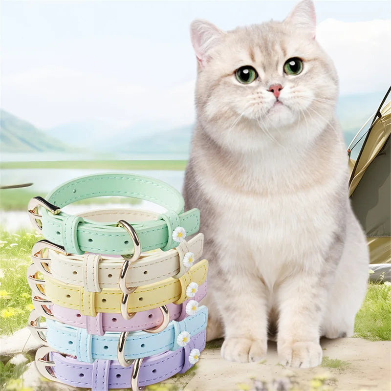 Collier pour Chat & Petit Chien en Simili Cuir – Décor Marguerite, Boucle en Alliage & Anneau Traction