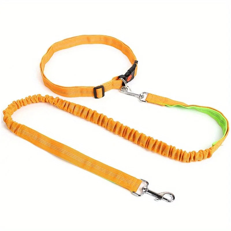 Laisse Élastique pour Chien Mains Libres – Laisse Rétractable en Nylon pour la Course et la Marche, Accessoire Pratique pour Chien