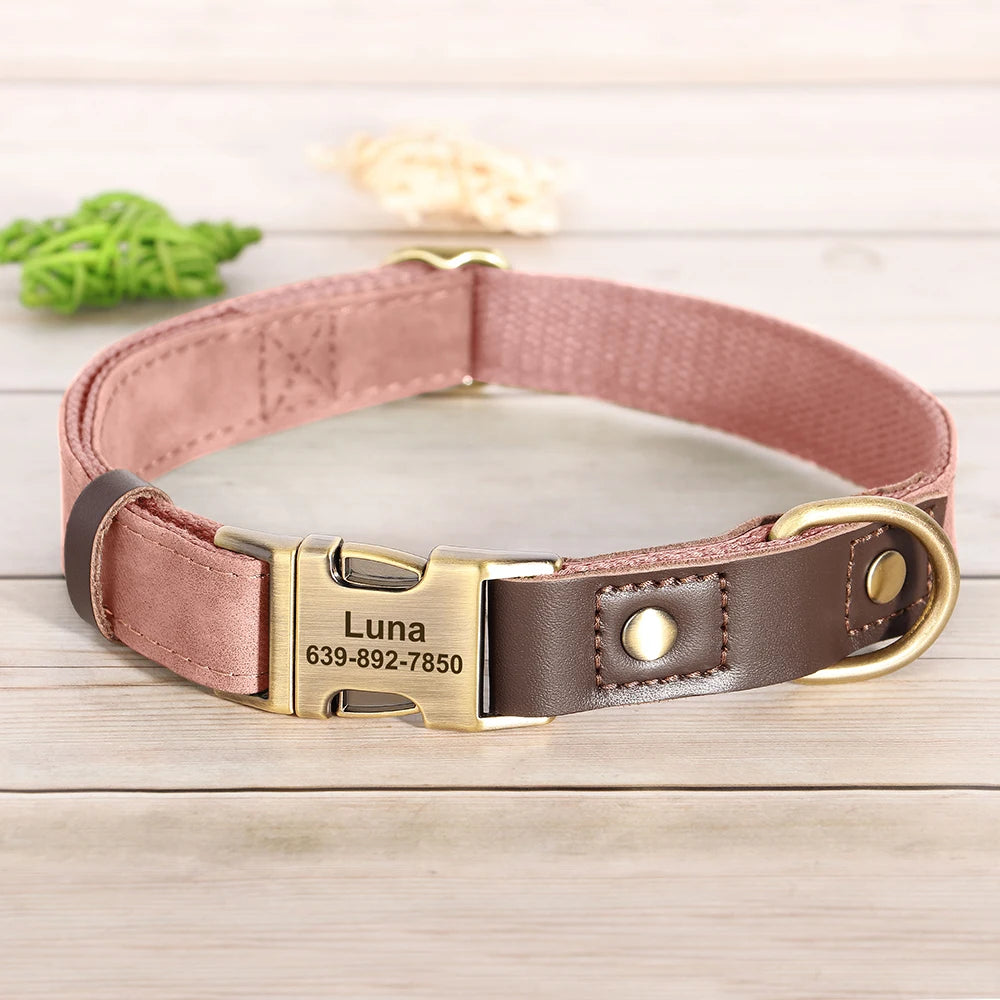 Collier pour Chien en Cuir PU Personnalisé – Collier Gravé avec Boucle Réglable et Plaque d’Identification, Durable pour Chiens Petits, Moyens et Grands (Pug, Bulldog, etc.)