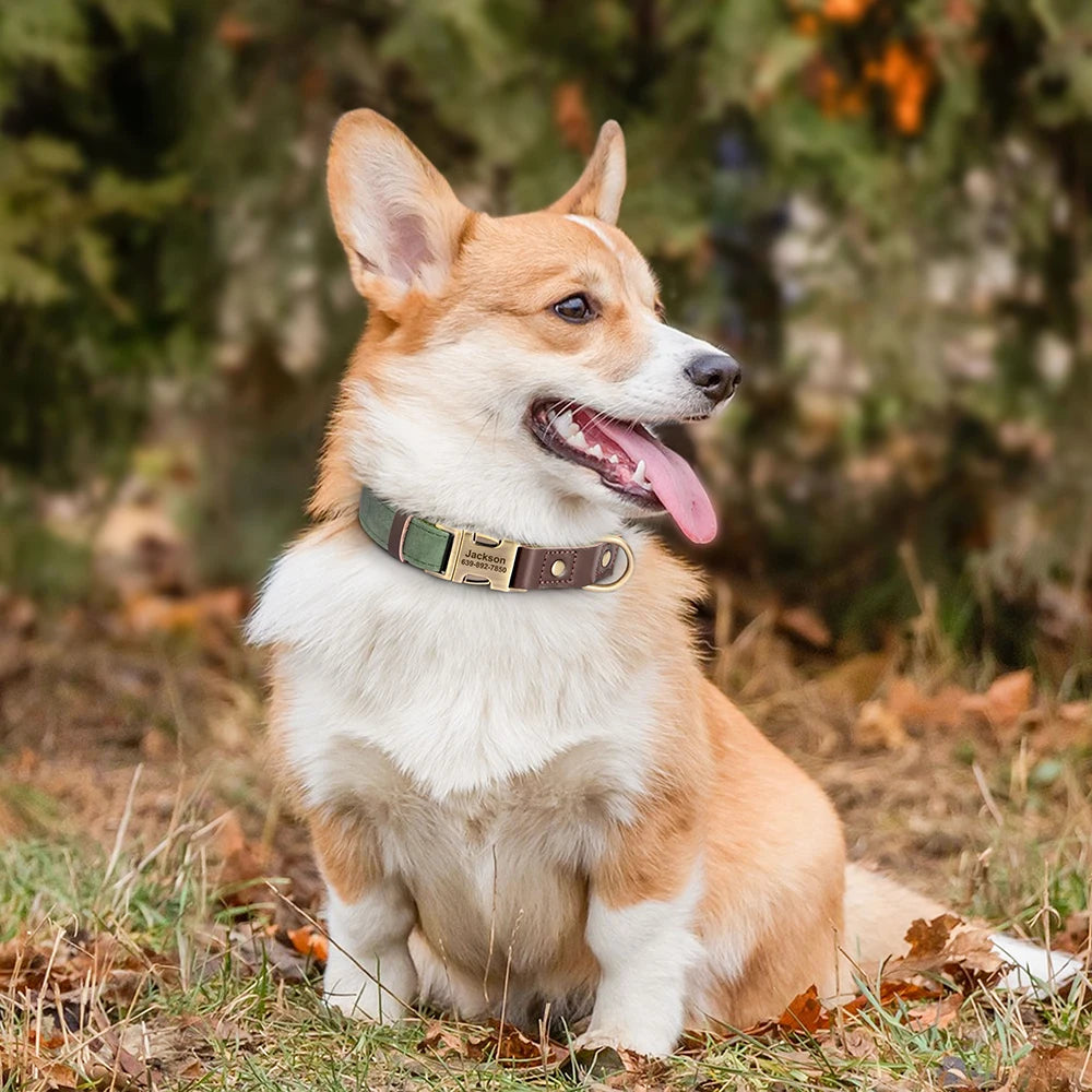 Collier pour Chien en Cuir PU Personnalisé – Collier Gravé avec Boucle Réglable et Plaque d’Identification, Durable pour Chiens Petits, Moyens et Grands (Pug, Bulldog, etc.)