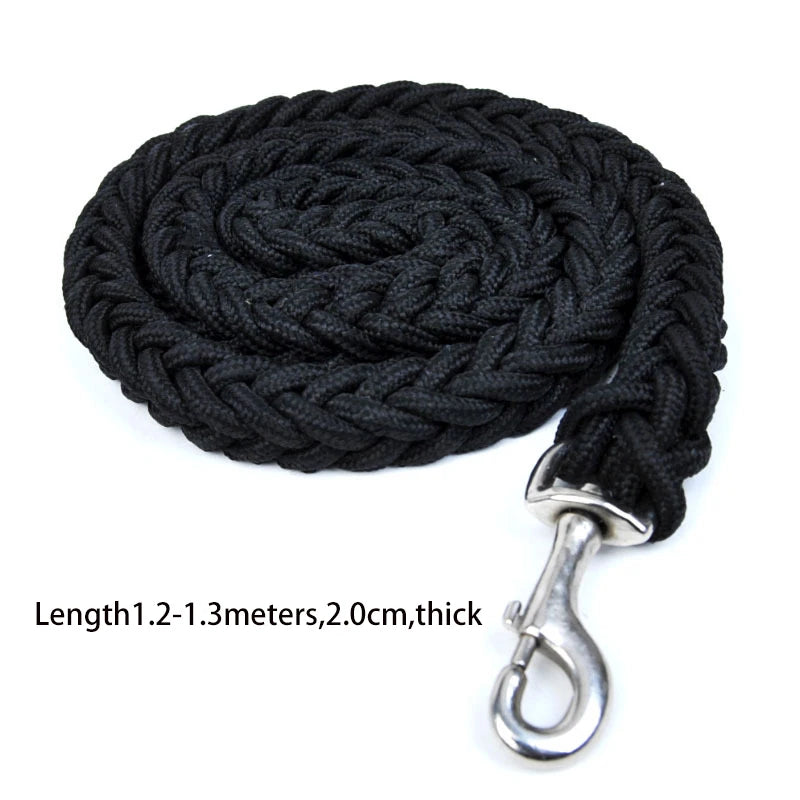 Laisse pour Chien Robuste et Durable – Laisse de Dressage Efficace et de Marche Confortable, Tressage Résistant pour Chiens de Grande Taille