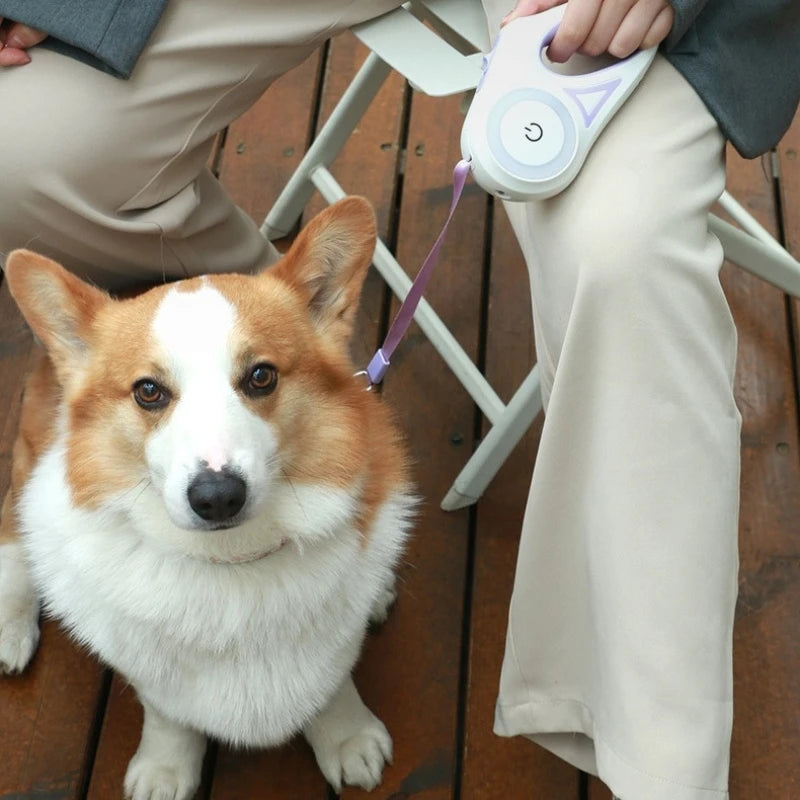 Laisse Rétractable pour Chien avec Éclairage LED – Système de Verrouillage à Une Touche, Anti-Enchevêtrement, Poignée Confortable et Sécurité Nocturne Mains Libres
