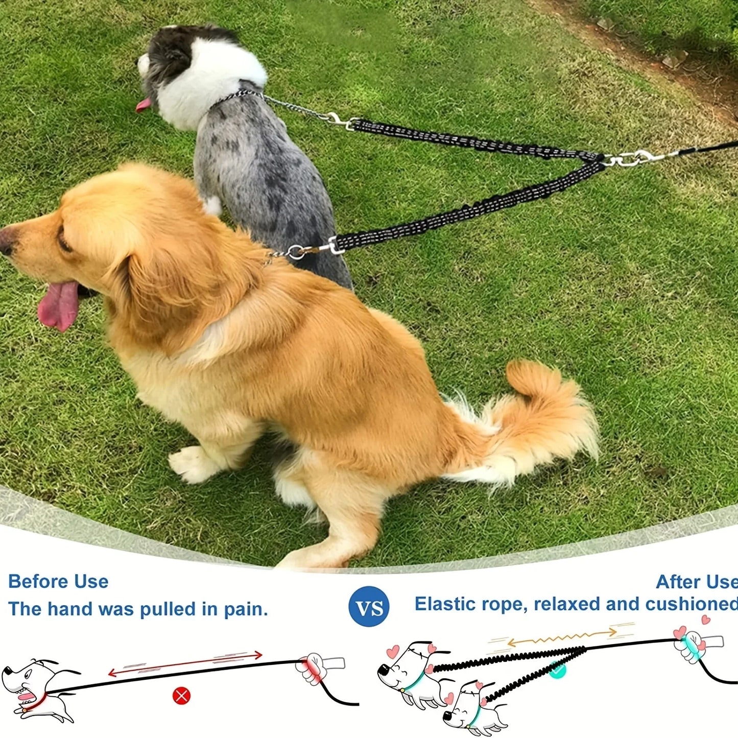 Laisse Double pour Chien – Coupleur Anti-Enchevêtrement avec Amortisseur de Chocs et Sangle Réfléchissante pour Sécurité Nocturne